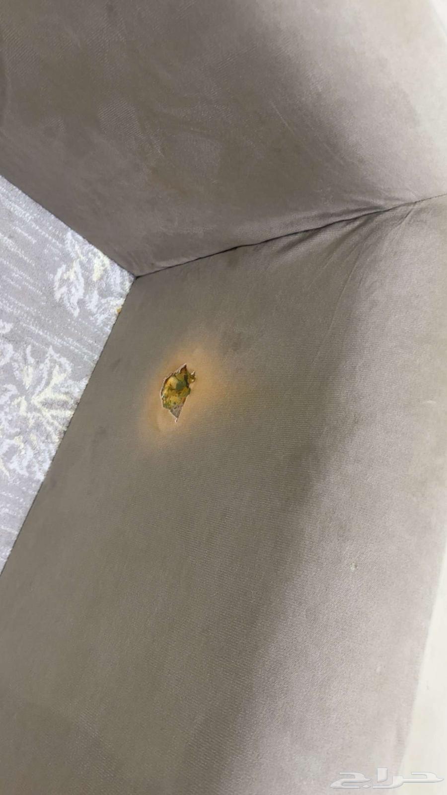 Sofas64167556676867111