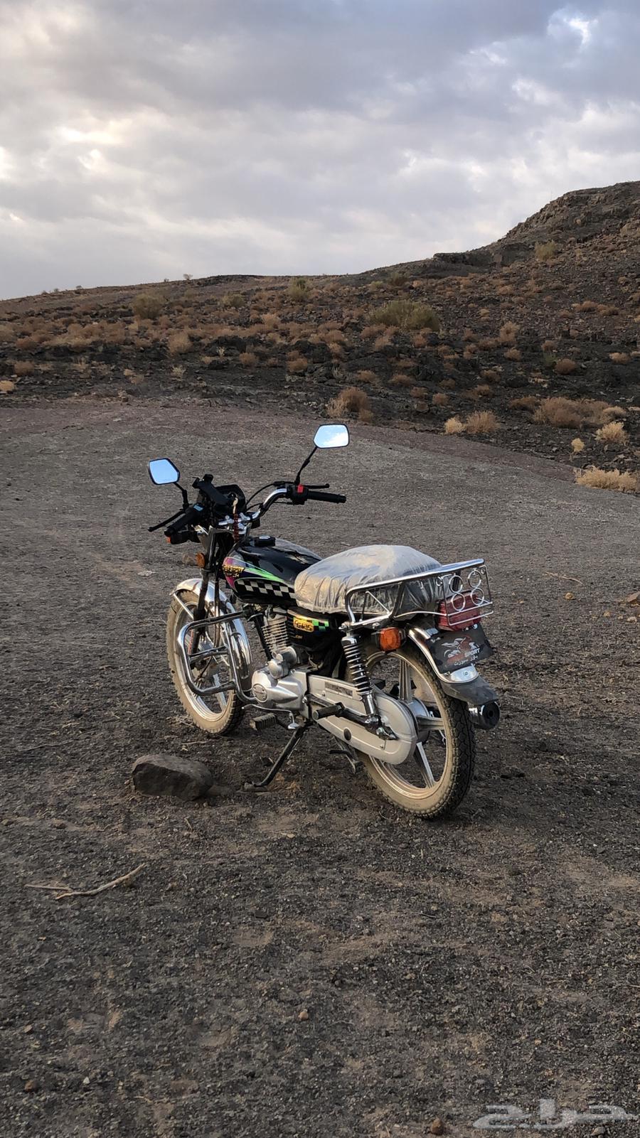 دباب. مديل. 2025.انسام. 2500.64379021644674110