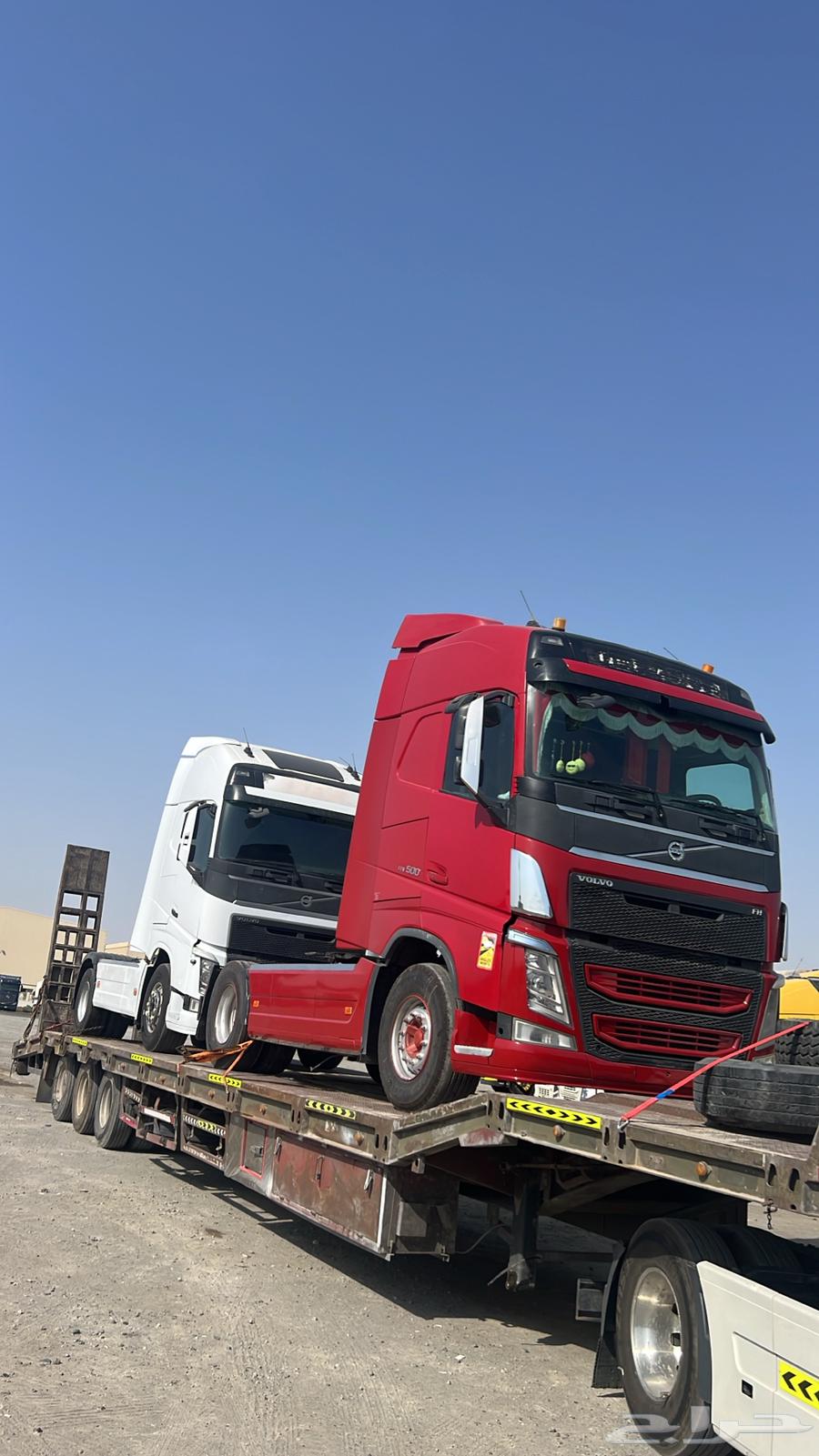 Luwabid available in Najran, Wadi Al-Dawasir, Al-Sulayel, Khamis Mushait64379093789313113