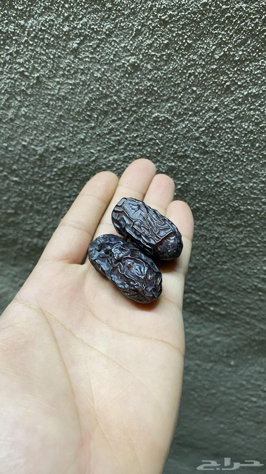 Safawi Dates in Bulk64155240358402110