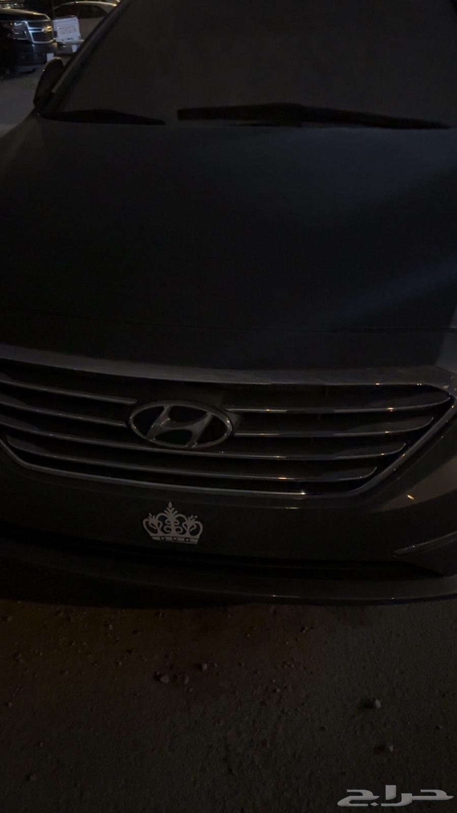 Sonata Mesh64373448049665110