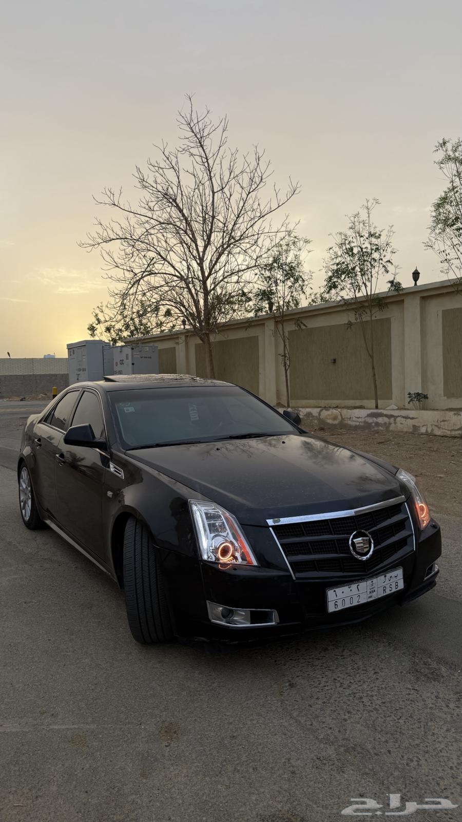 كاديلاك نظييف64380624169218112