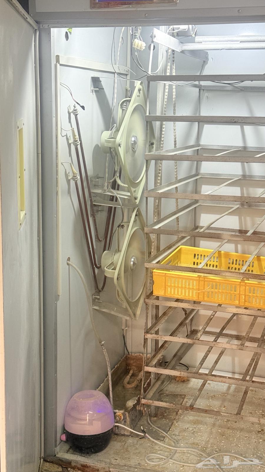 Incubator size 528064166738172802111