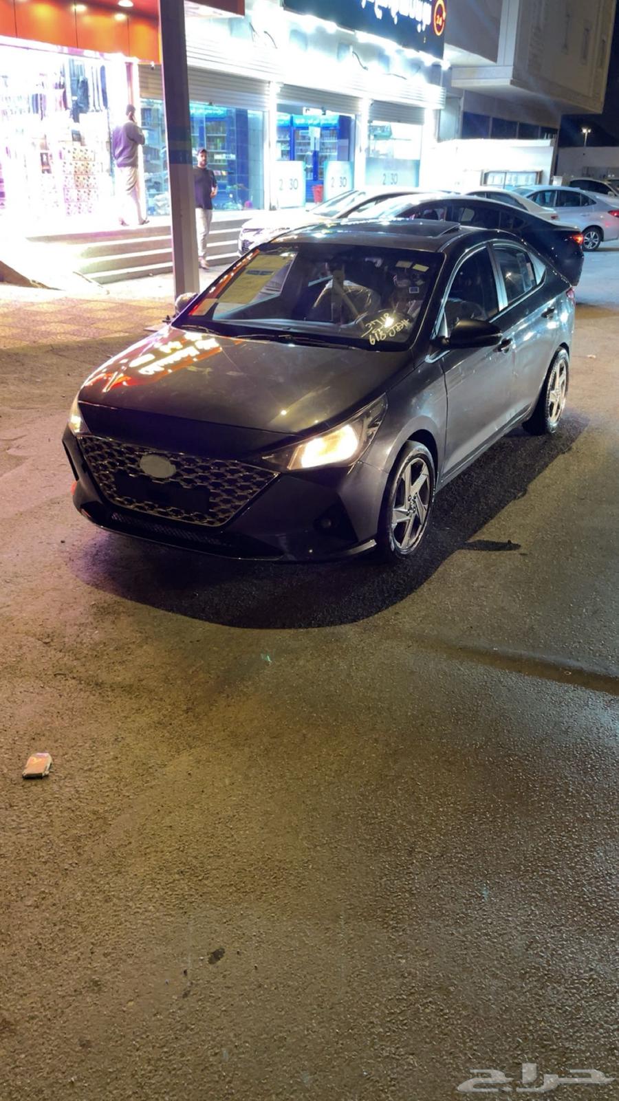 Tabriz border fringe accent64379021632513112