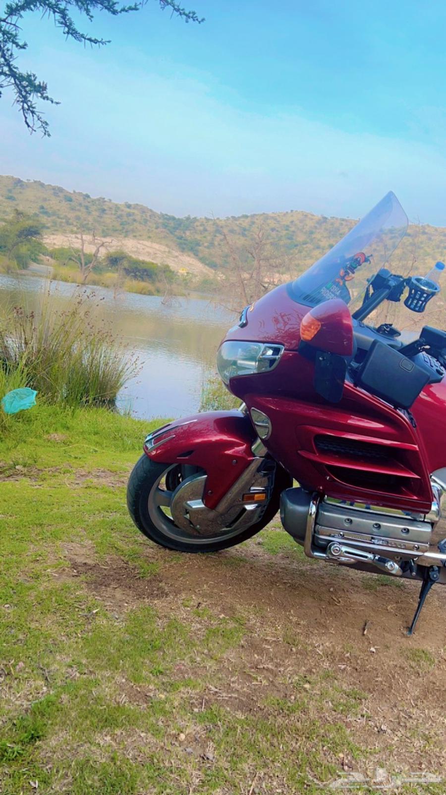 دباب قولد وينق 200264387912394626112