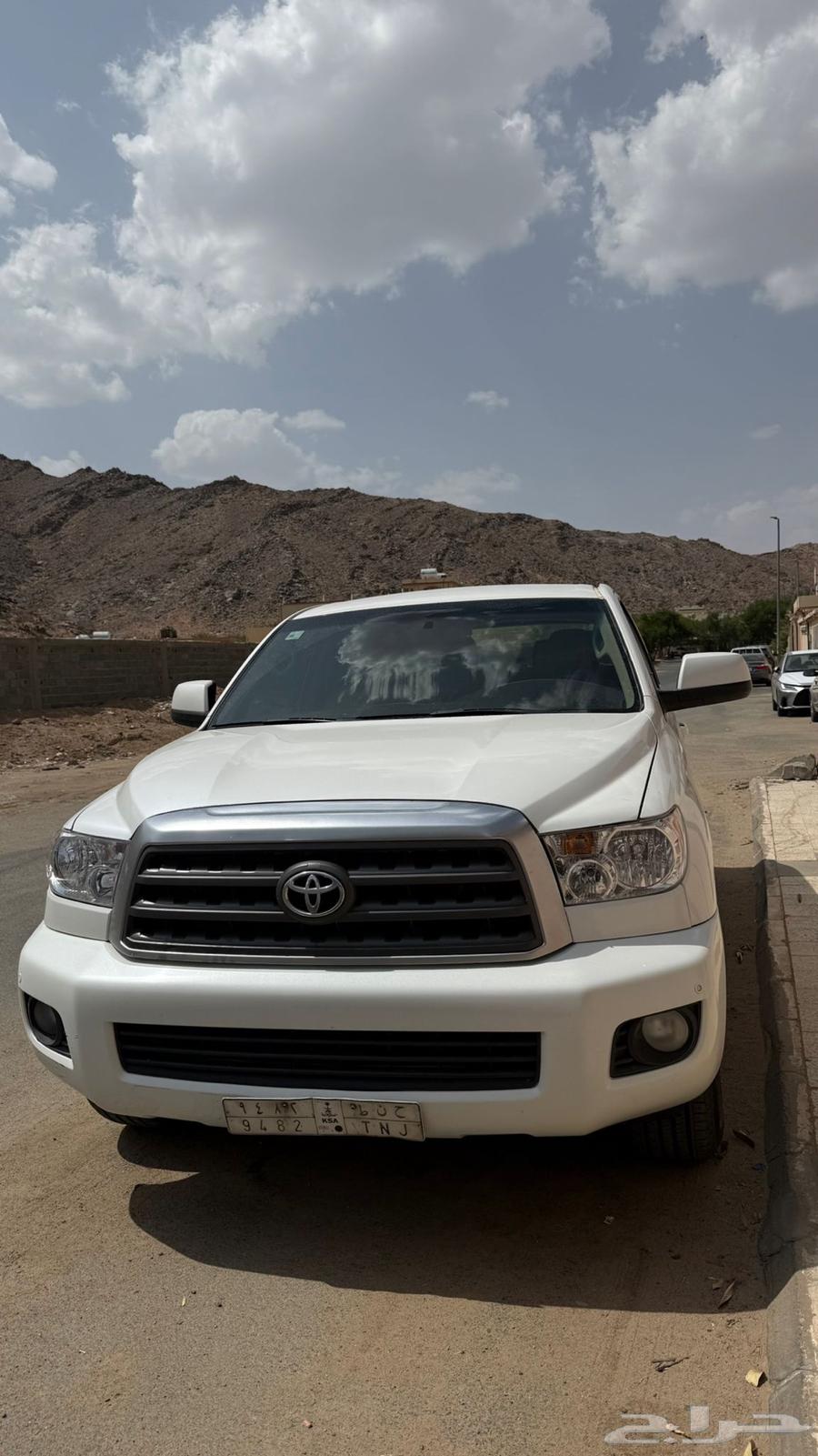 Scoya64381342675202113