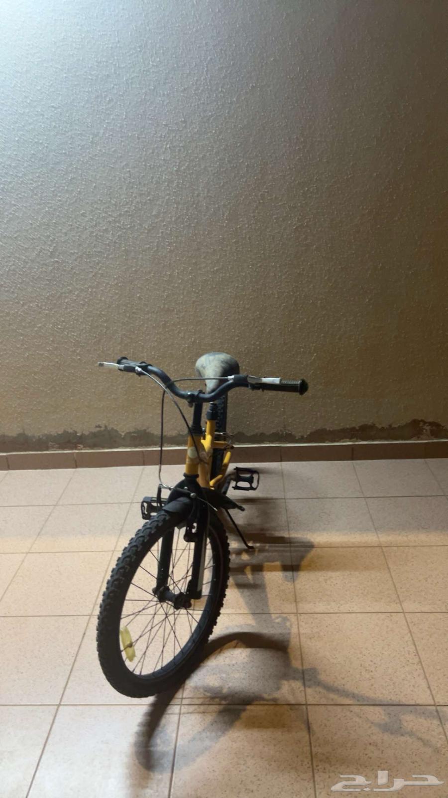 A good bike that doesn't have any problems but needs chain tensioning64146418639363111