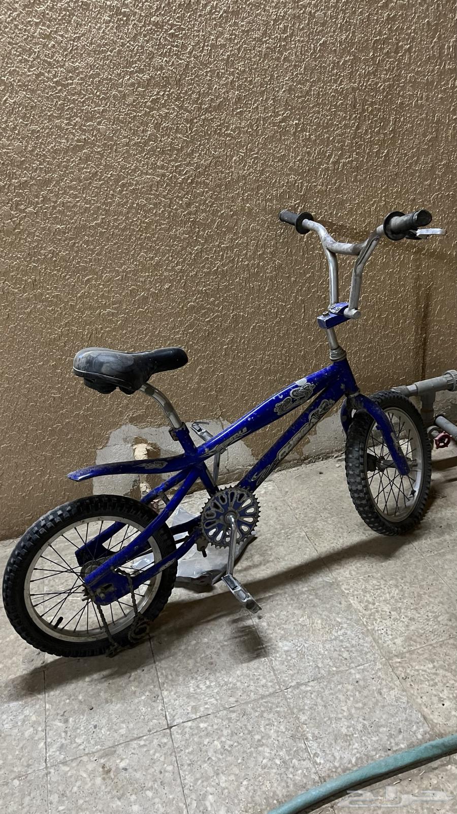 سيكل كوبرا64174513784577110