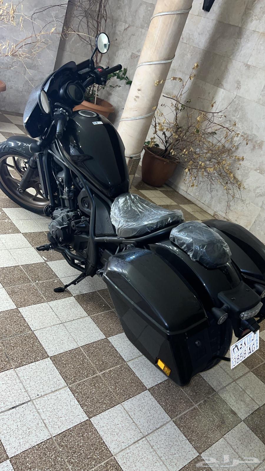 هوندا ريبل 1100 cc مديل 202464384064883329112