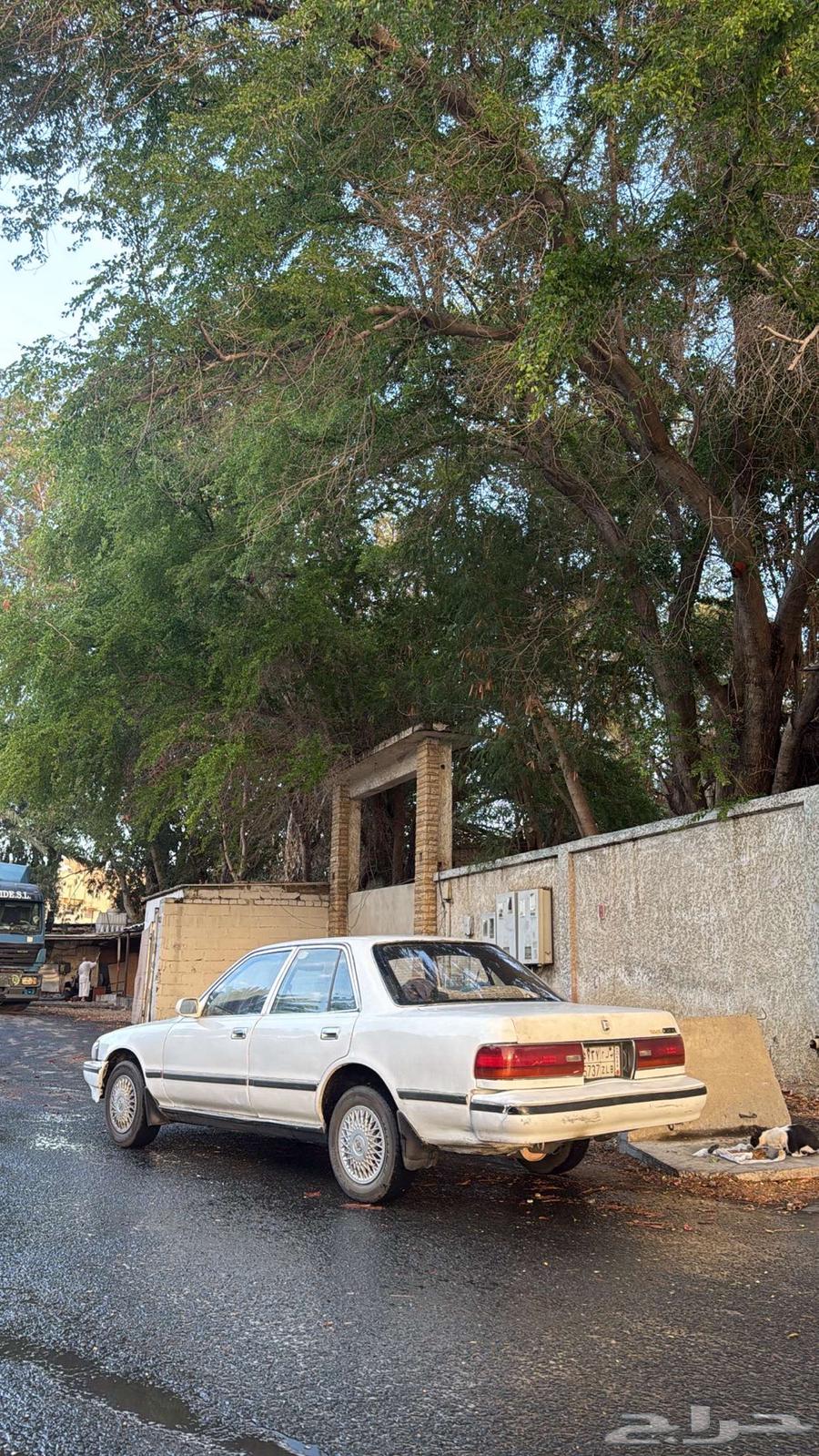 كرسيدا89ذكر الله زين64373209264130110