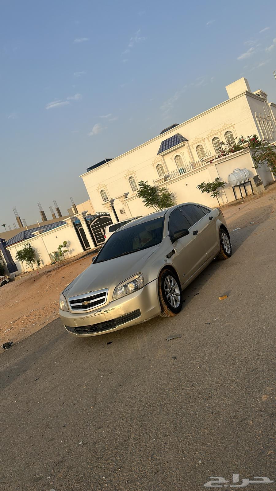 Tilala64377608371842112