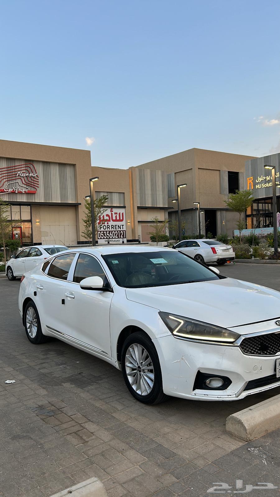 كادينزا للبيع64379093936898110