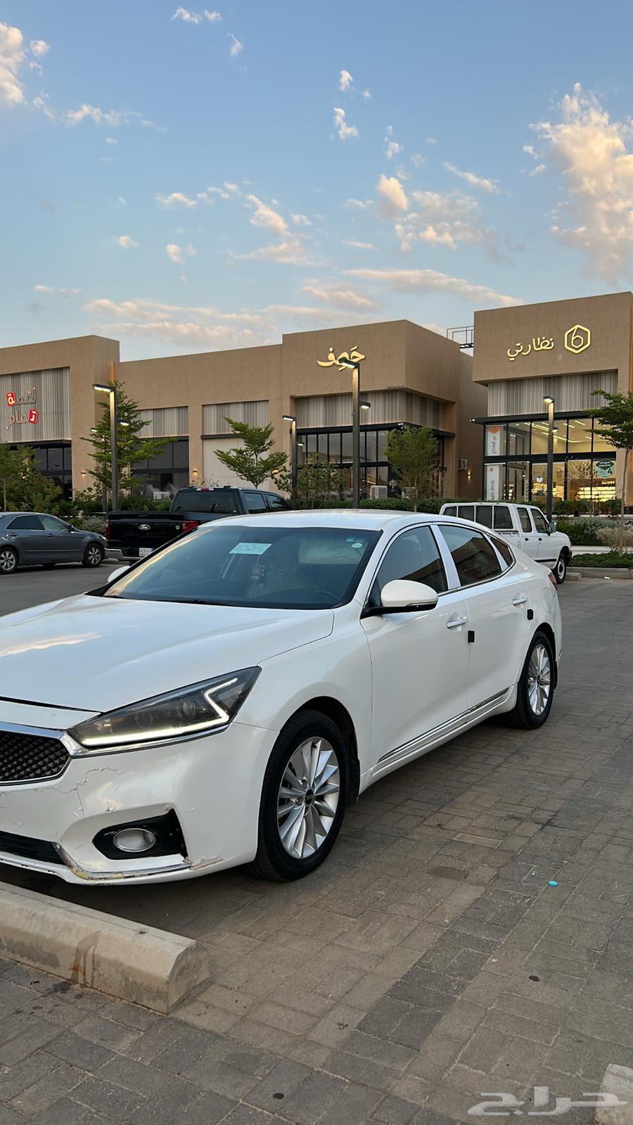 كادينزا للبيع64379093936898111