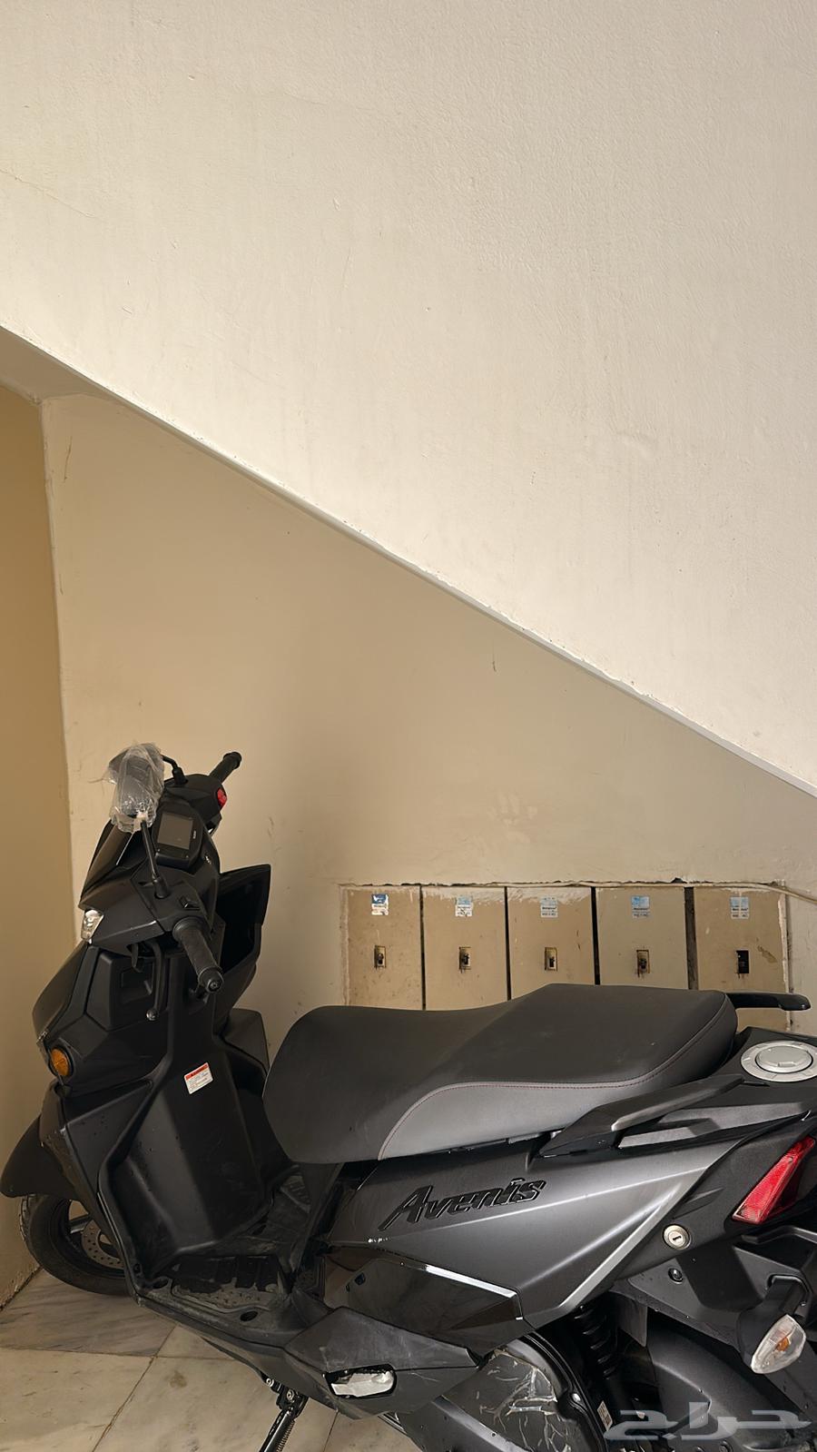 عجيب سزوكي 202464376362555137110