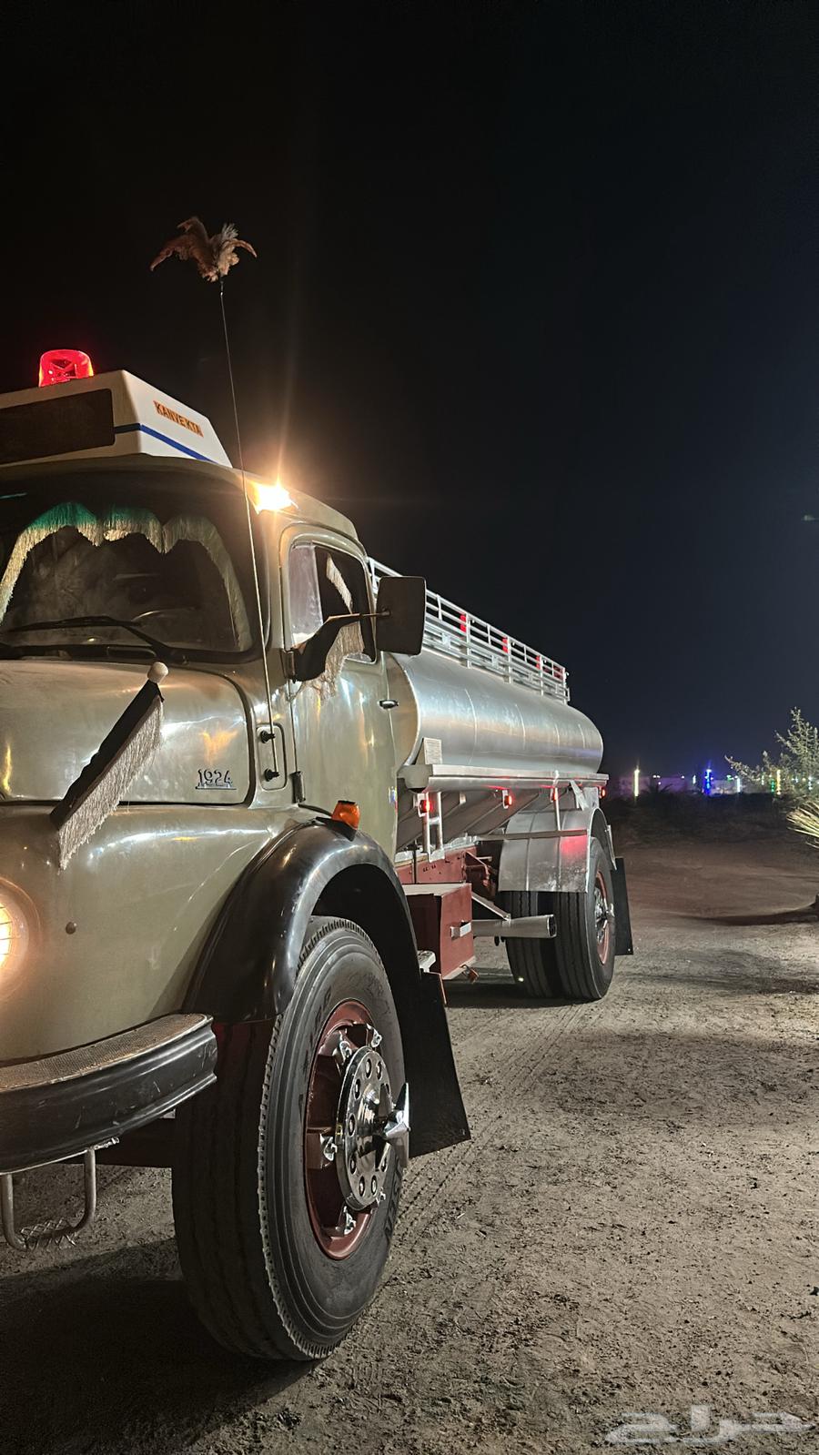 عايدي بوز 2464384745037057114