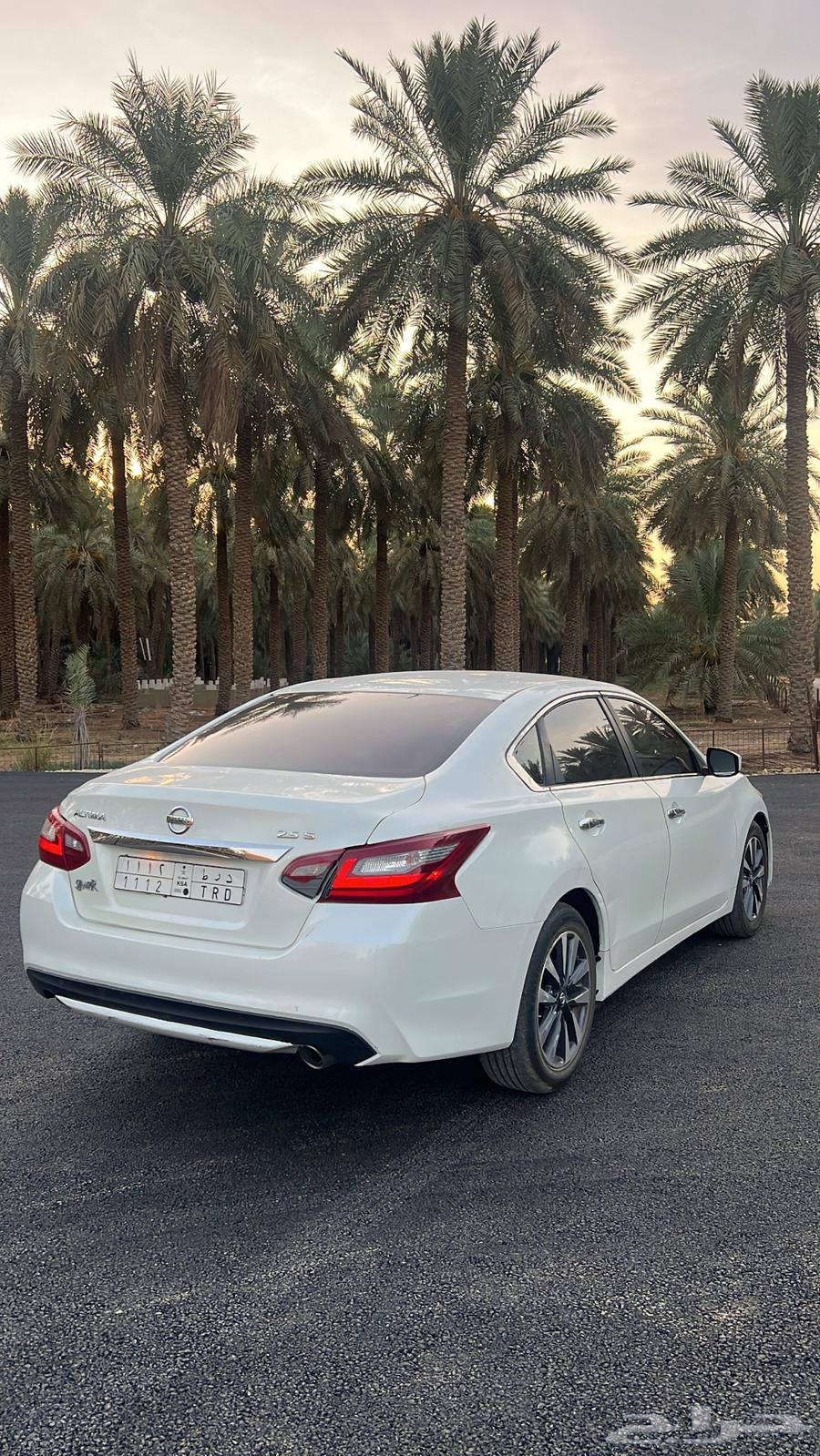 ( التيما سبيشل سعودية للبيع )64384731113985111