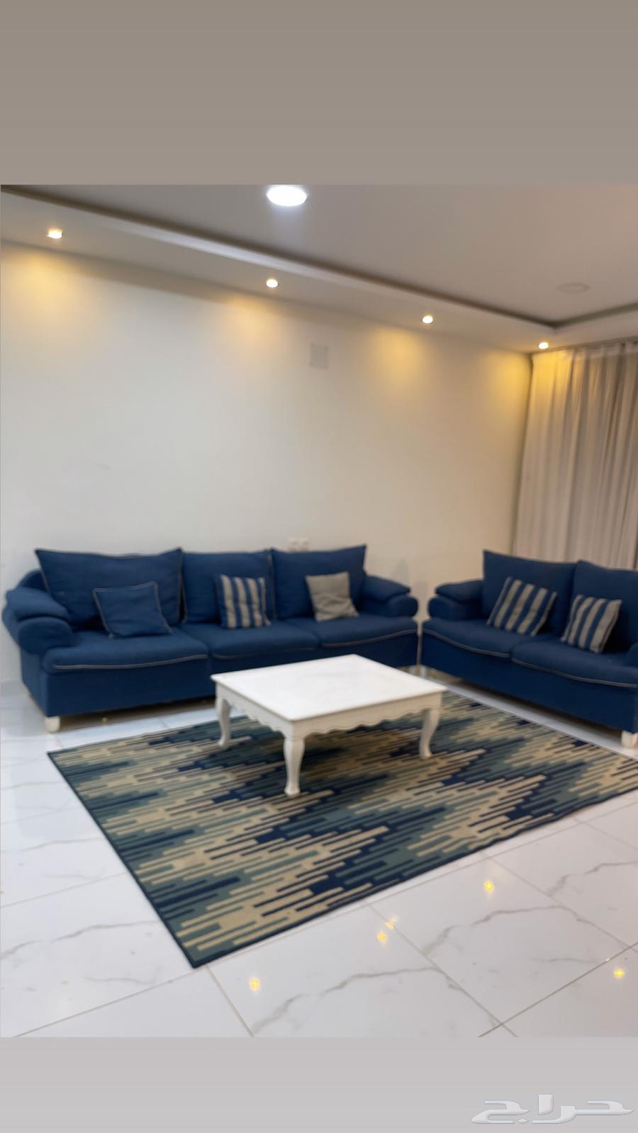 Sofa with brushes and table used64170580708609110