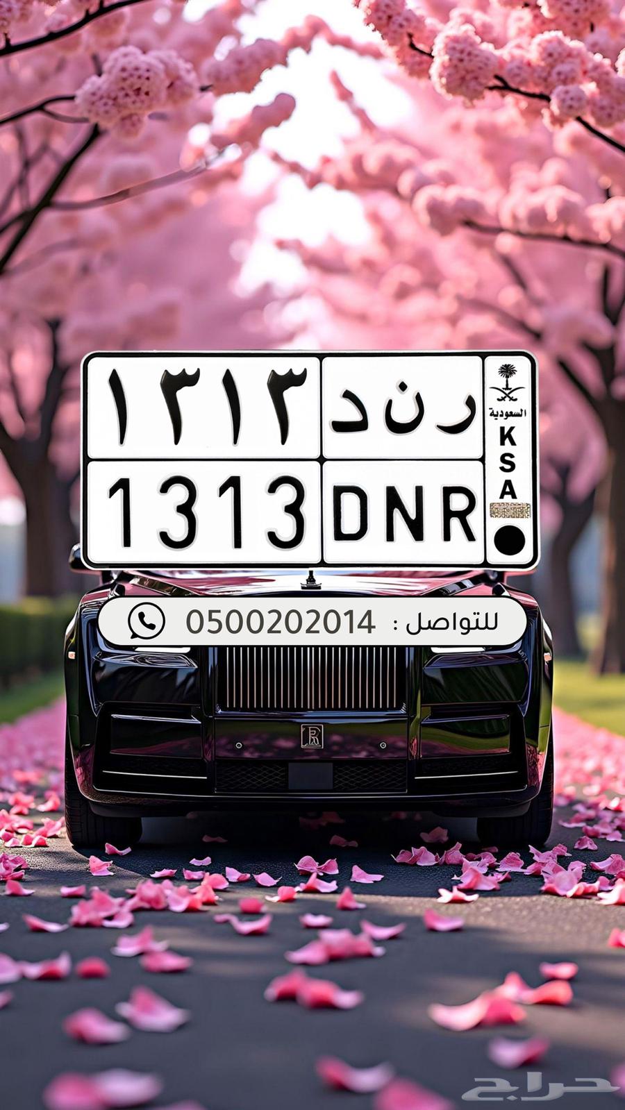 لوحة مميزه ر ن د 131364384064948867110