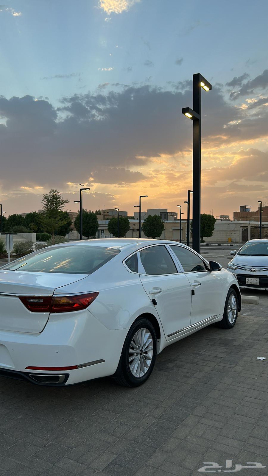 كادينزا للبيع64379093936898114