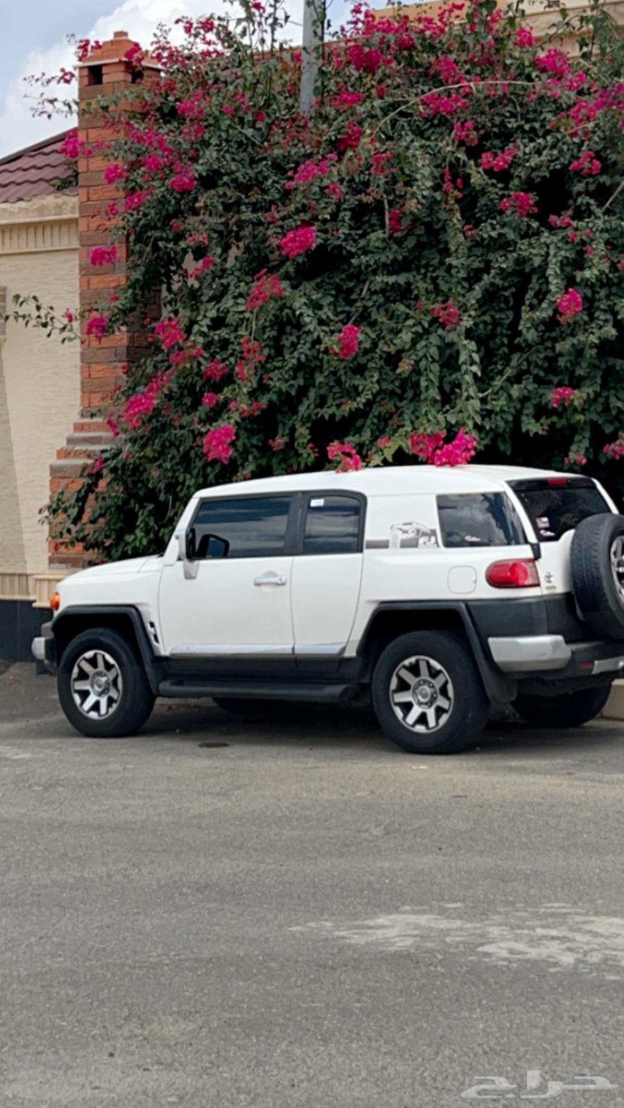 افجي 2017 فل كامل نظيف64377827054083110