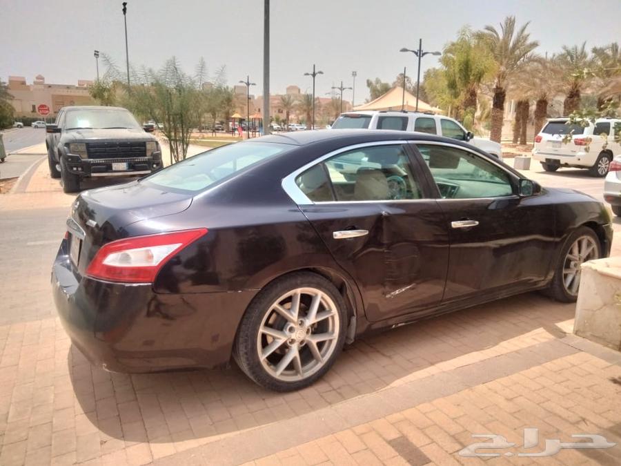 مكسيما نيسان64379282705154110