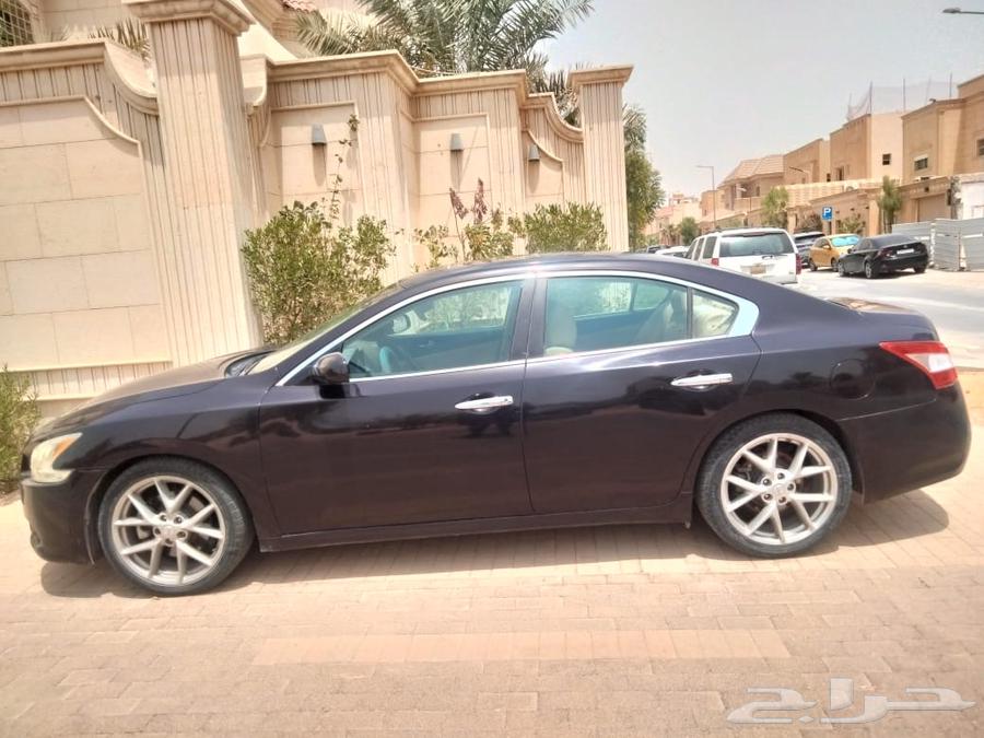 مكسيما نيسان64379282705154112