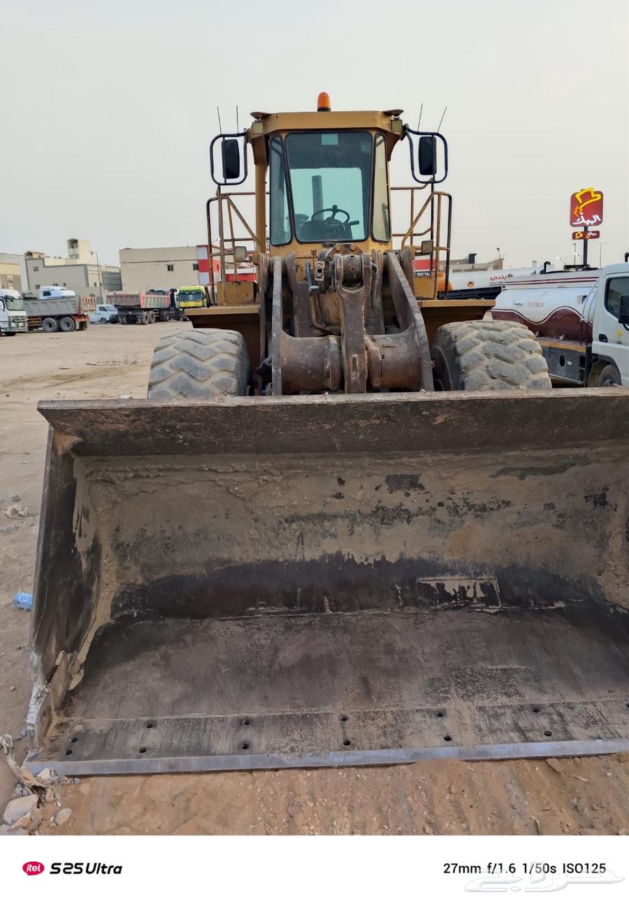 شيول 966E64382404448769113