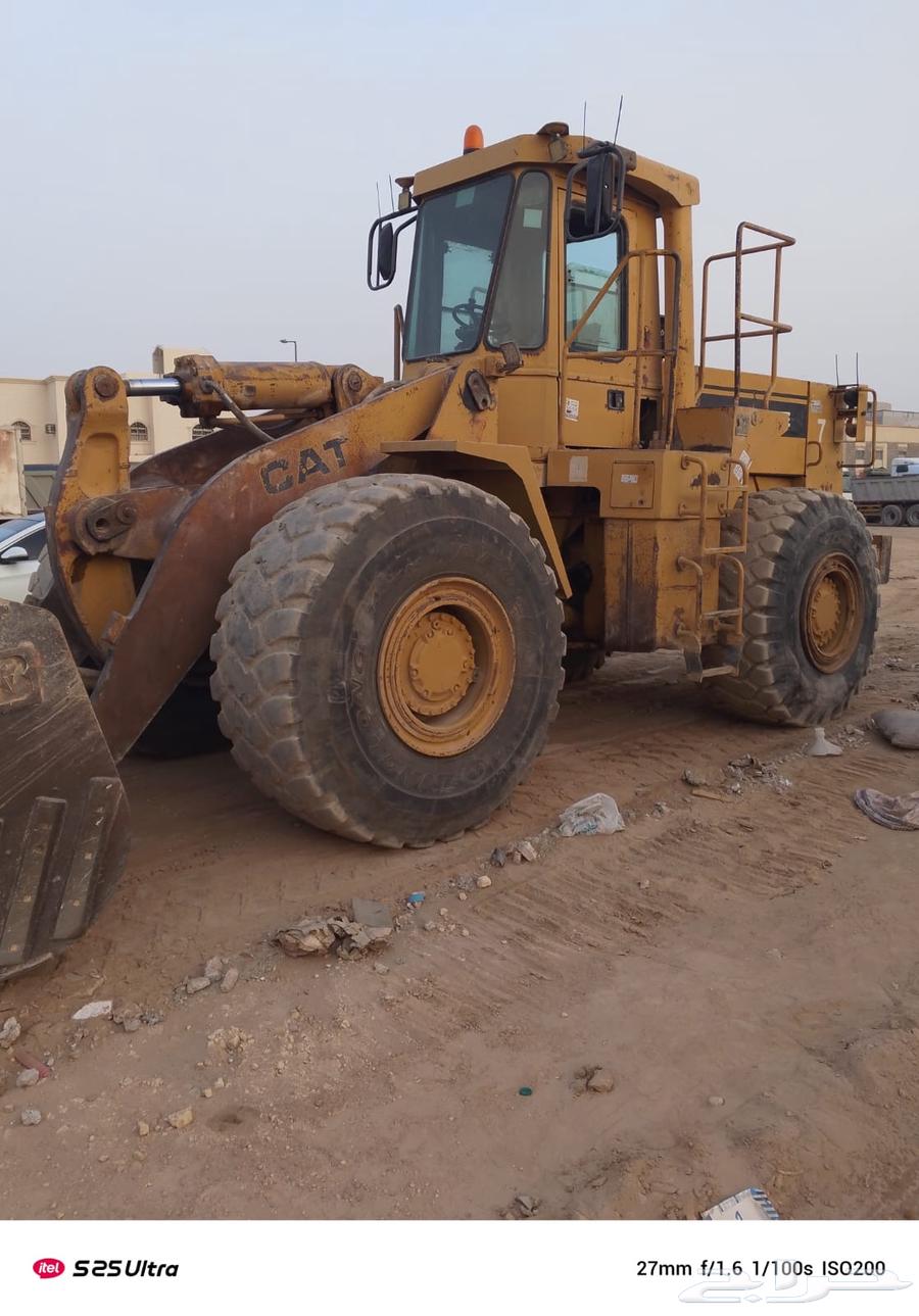 شيول 966E64382404448769114