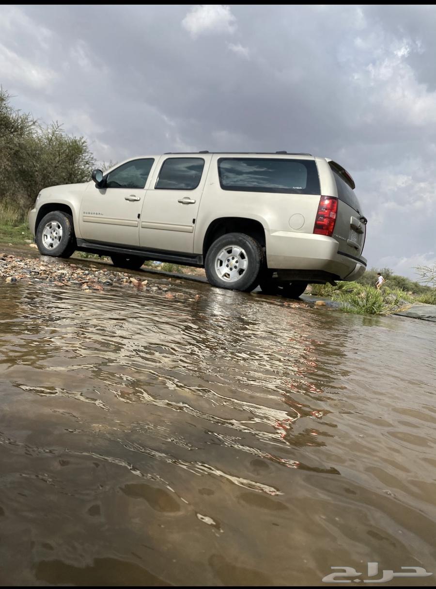 سوبر بان شفروليه64384492851459112