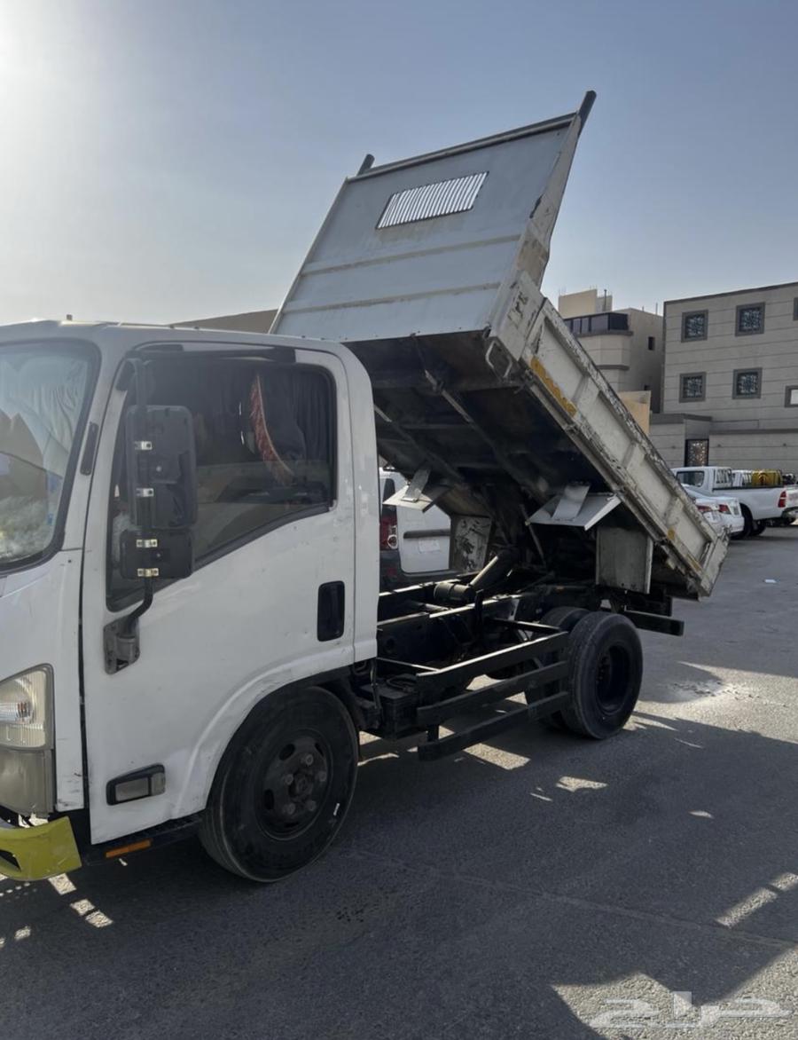 دينا قلاب للإيجار ردود تحميل64380833243651110