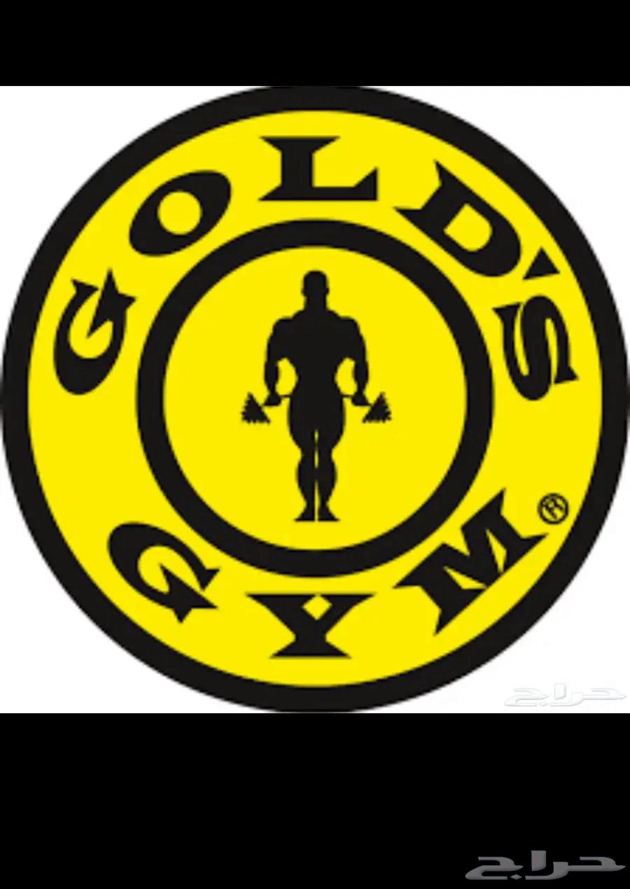 اشتراك جولد جيم 8 شهور64170580753665110