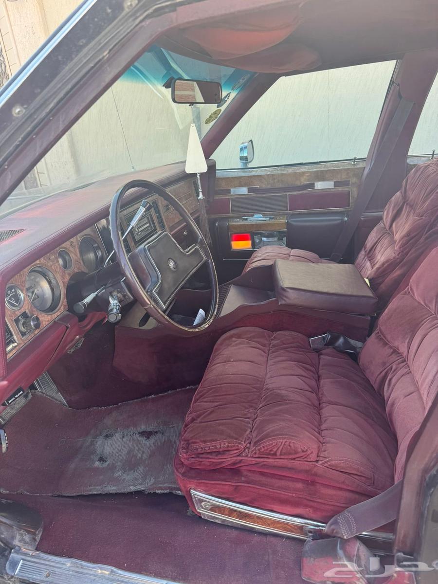 بيوك نظيف64377211574019111