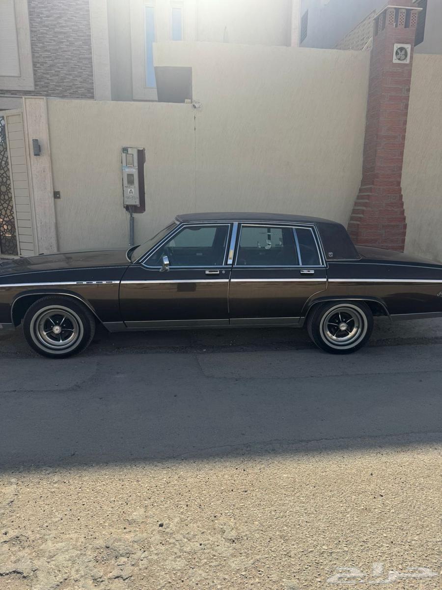 بيوك نظيف64377211574019110