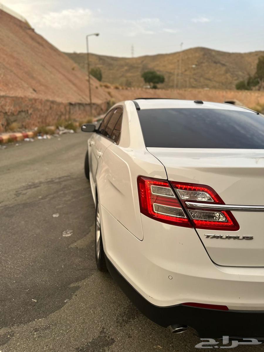 Touros64384355315841113