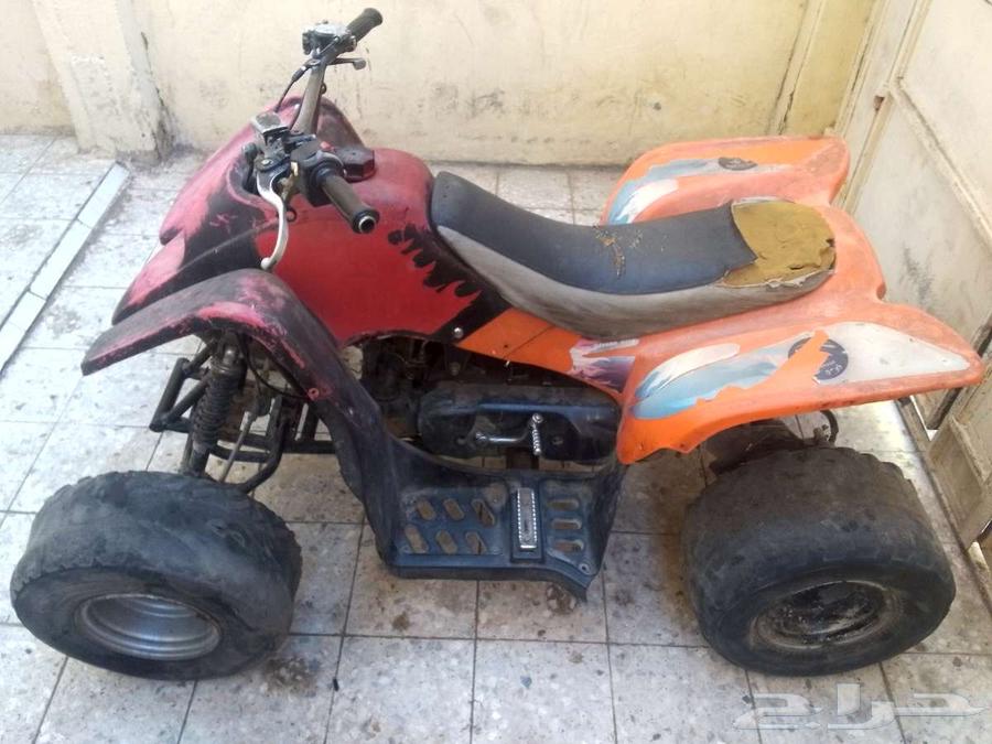 الدباب وأموري طيبة64375288905347111