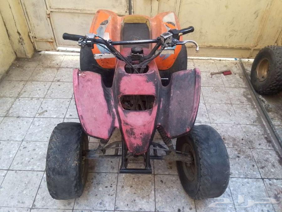 الدباب وأموري طيبة64375288905347110