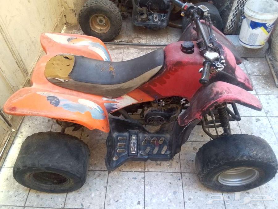 الدباب وأموري طيبة64375288905347112