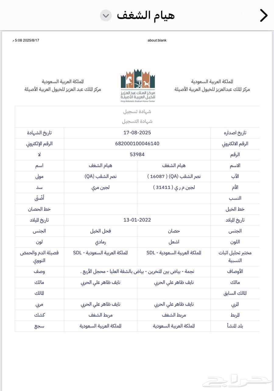 للبيع حصان بطل ولد نصر الشقب ومستقبل فحل64171506418817111