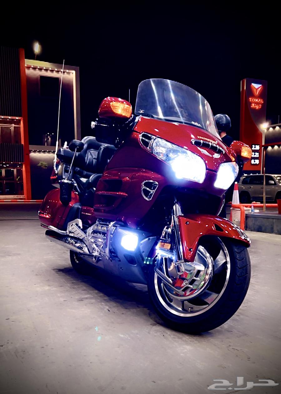 دباب قولد وينق 200264387912394626113