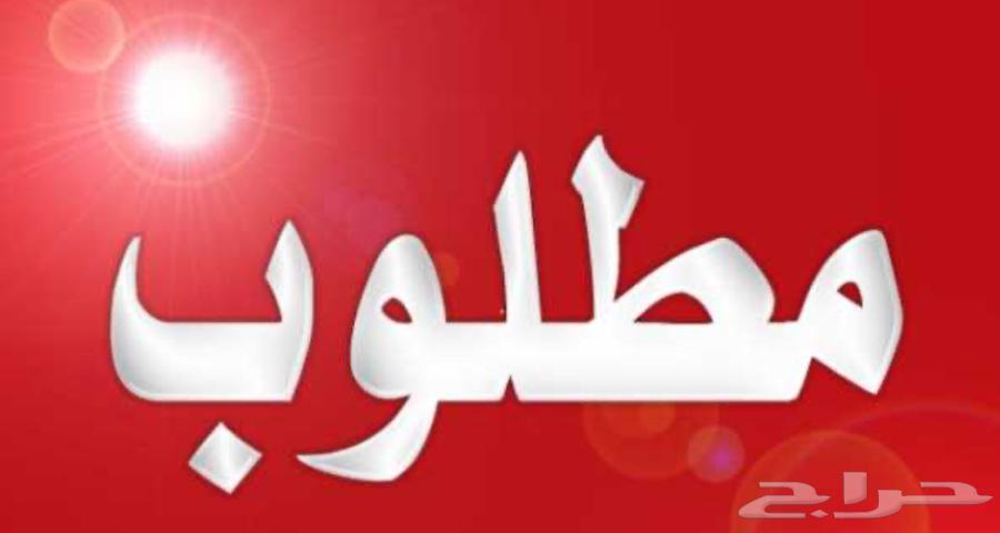 White that guides me, ask him for help64377063970817110