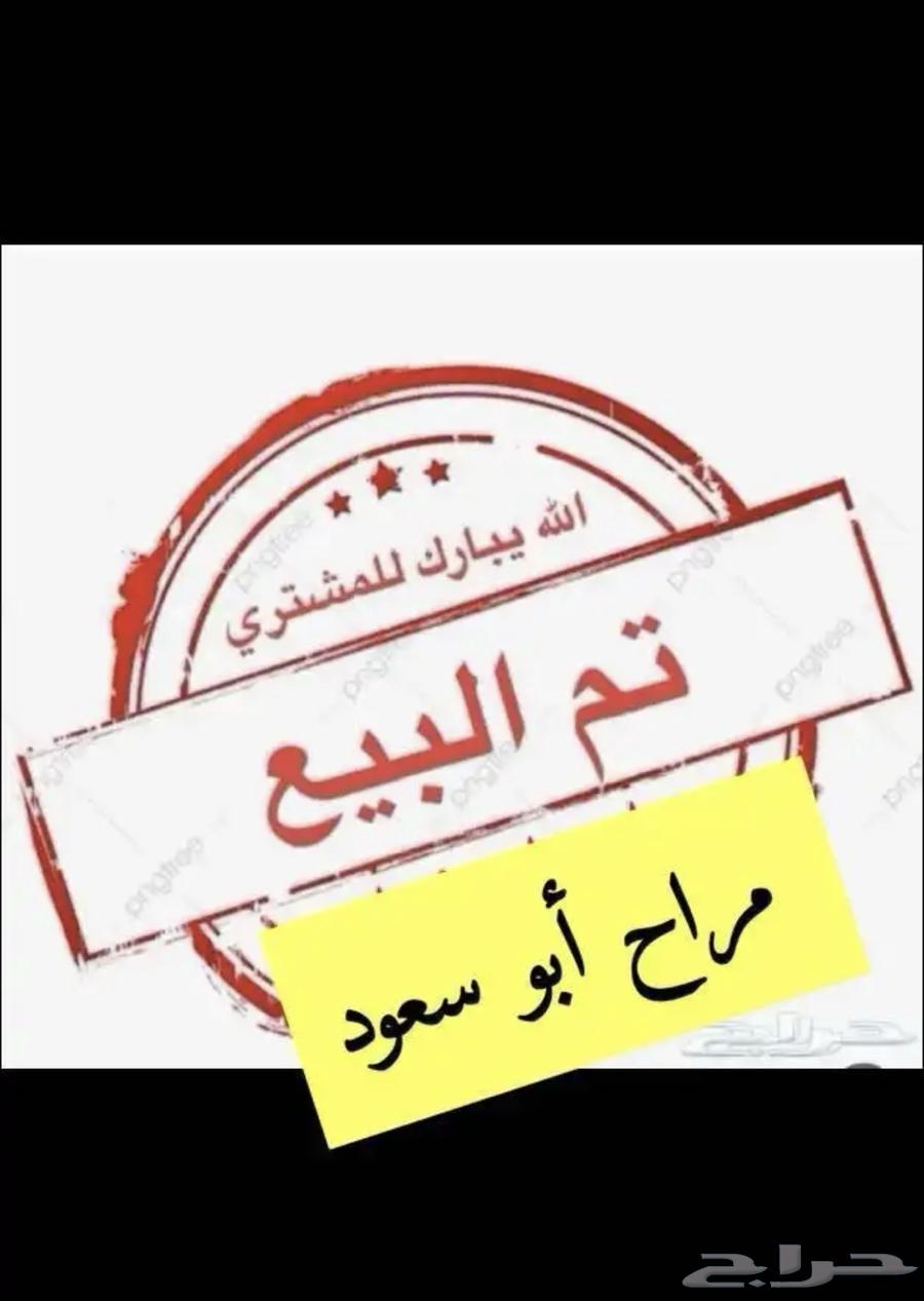 طليان للبيع63678744292355110