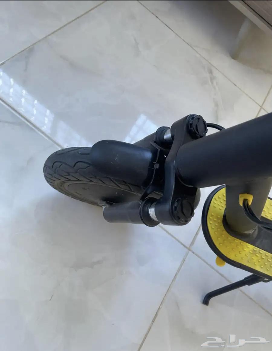 Developer Scooter64154113566082112