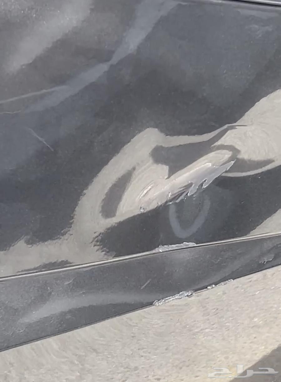 اكسنت 2024 للتنازل بدون مقابل64378032389762113