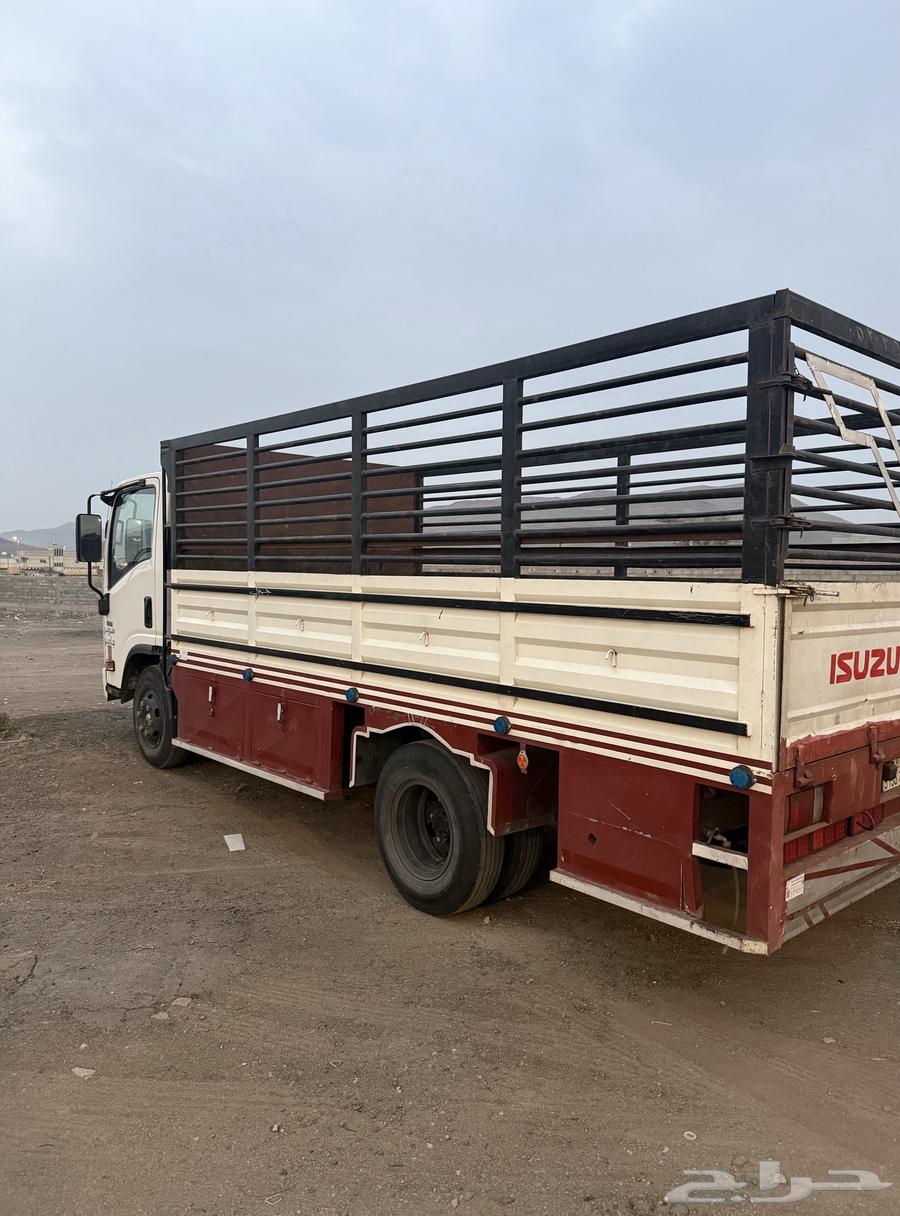 دينا ايسوزو باخشب مخززن للبيع64376050199170111