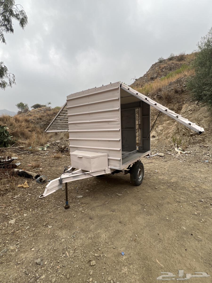 للبيع قلص (عربه64381370056321112