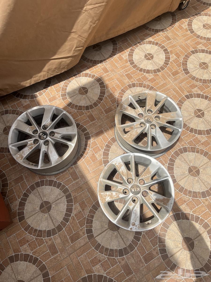 جنوط اوبتما 1864377108402050111