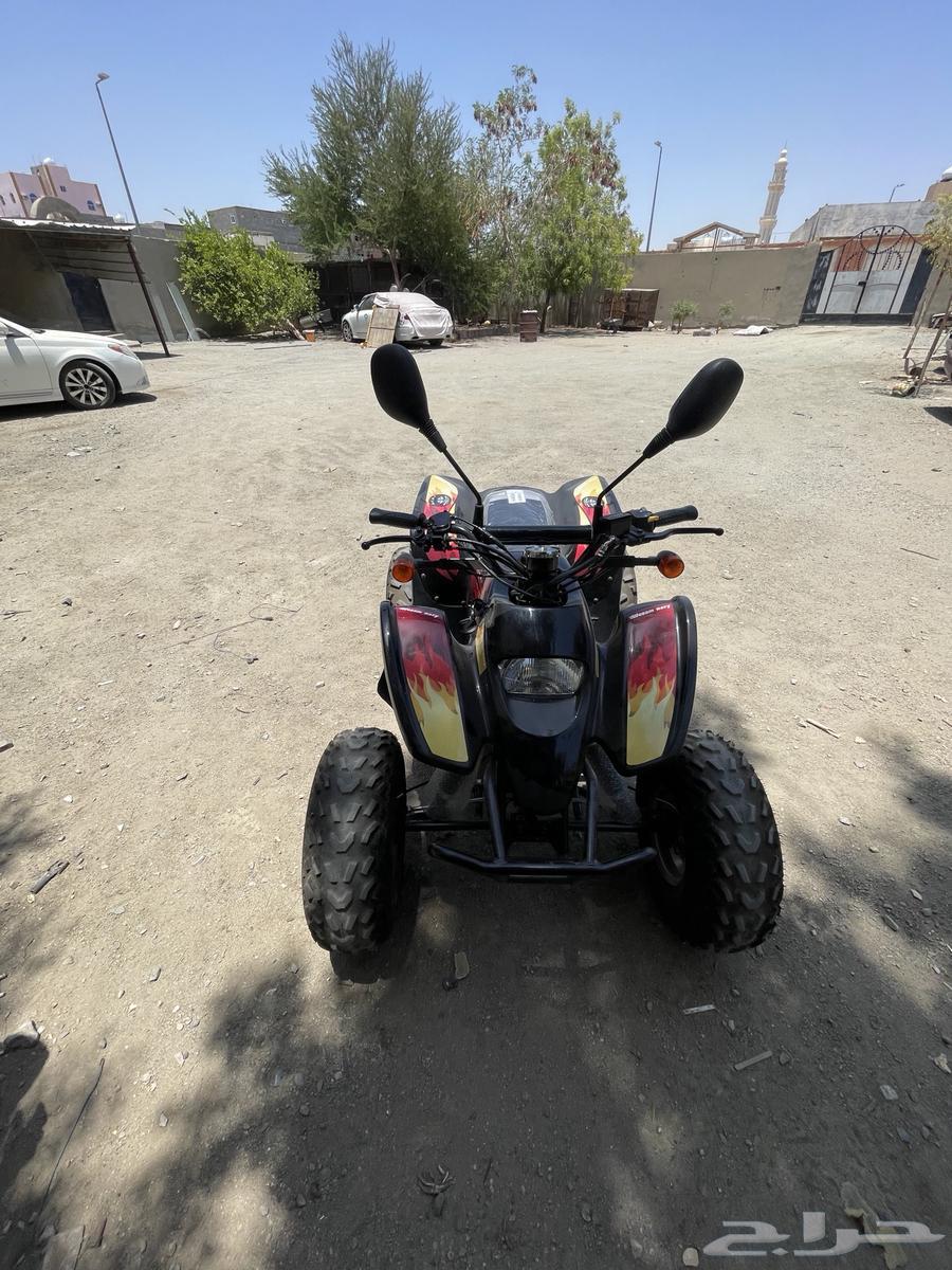 دباب سويدي مقاس 10064384590950529111