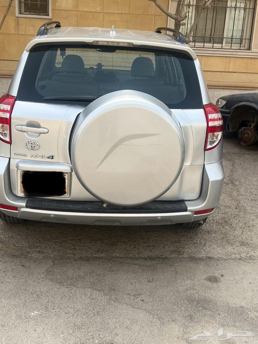 راف فور موديل 200964379239080451113