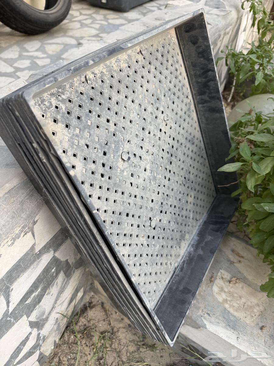 الاحساء للبيع صحون استنبات شعير شبه جديد64164653486850114