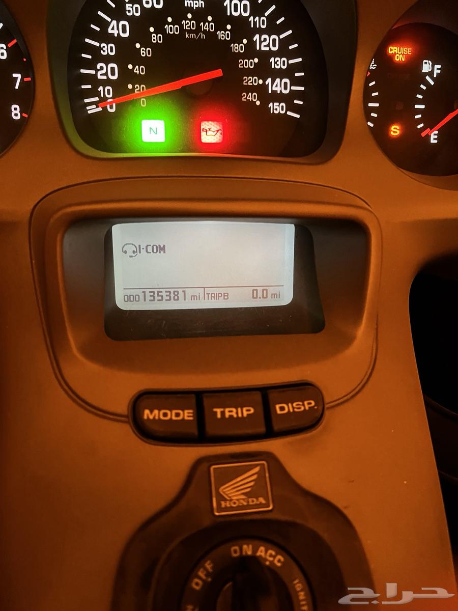 دباب قولد وينق 200264387912394626114